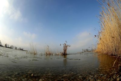 Scenic view of lake against sky