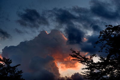 Low angle view of silhouette trees against sky during sunset