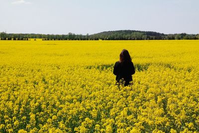 Rear view of woman standing on oilseed rape field