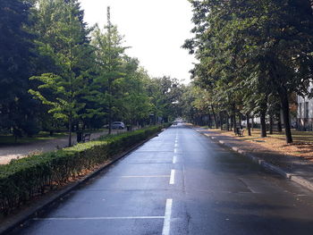 Empty road along trees and plants in city