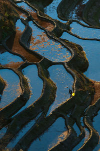 High angle view of a man walking on the terrace field.