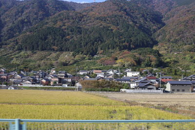 Houses and trees on field by mountain