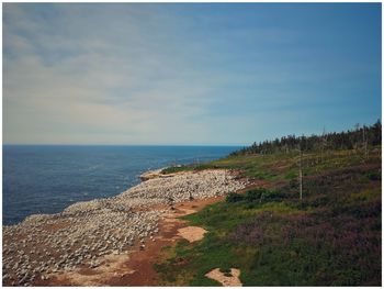 Scenic view of sea against sky