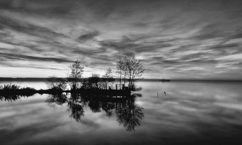 Reflection of tree in lake against sky