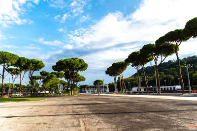 Palm trees on road in city against sky