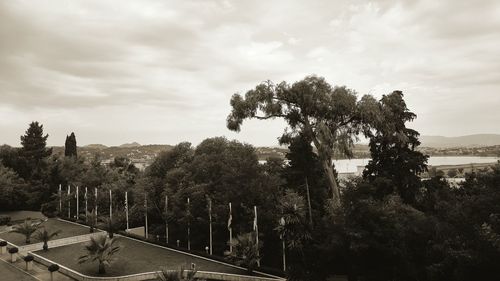 Trees against sky