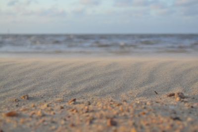 Surface level of beach against sky