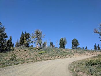 Road amidst trees against clear blue sky