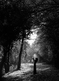 Woman standing amidst trees