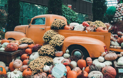 Various pumpkins for sale at market