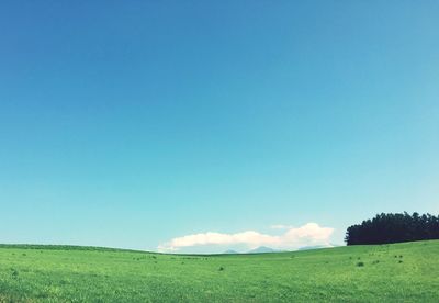 Scenic view of field against clear blue sky