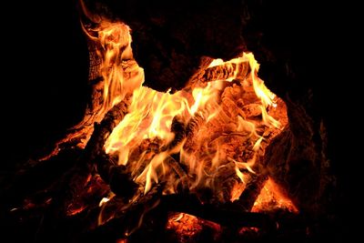 Close-up of bonfire at night