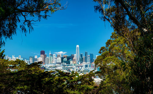 Trees and buildings against blue sky