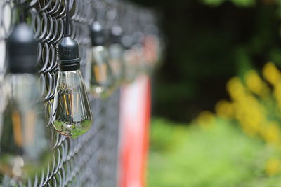 Close-up of glass bottles, lights, selective focus