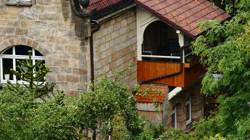 View of plants against building