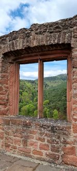 window