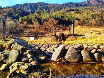 Scenic view of landscape