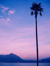 Low angle view of silhouette palm trees against sky