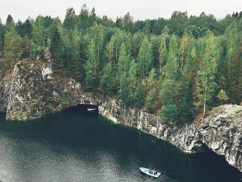 Scenic view of river in forest
