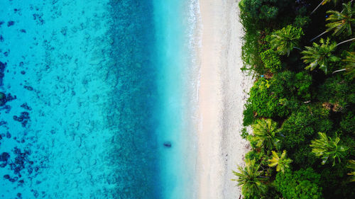 Aerial view of beach