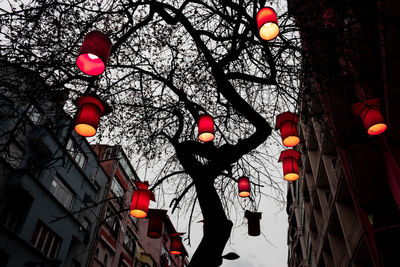 Low angle view of illuminated lanterns hanging on tree