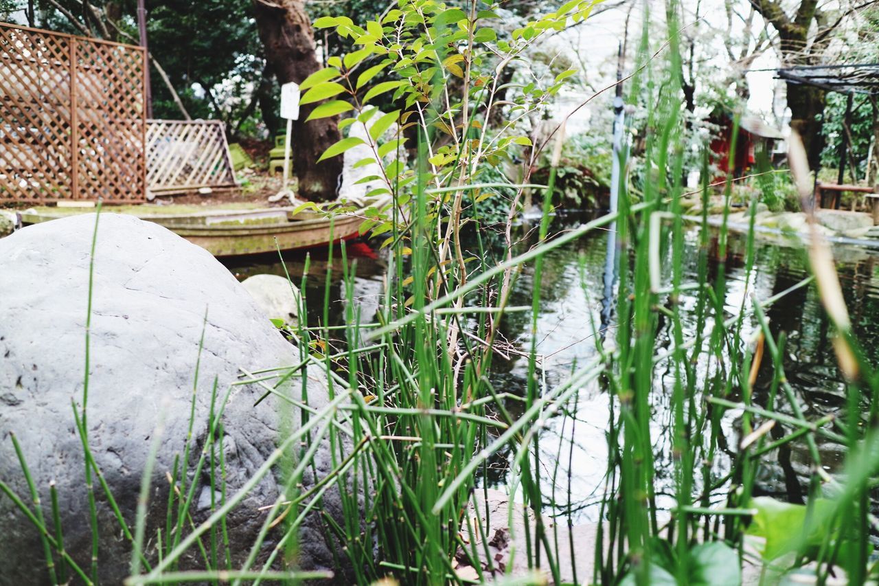 water, plant, built structure, growth, nature, lake, pond, architecture, tree, grass, reflection, day, outdoors, tranquility, building exterior, leaf, no people, green color, river, beauty in nature