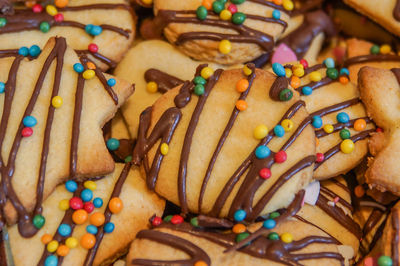 Close-up of multi colored candies