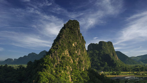 Low angle view of trees on mountain against sky