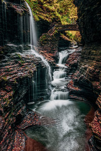 Scenic view of waterfall in forest