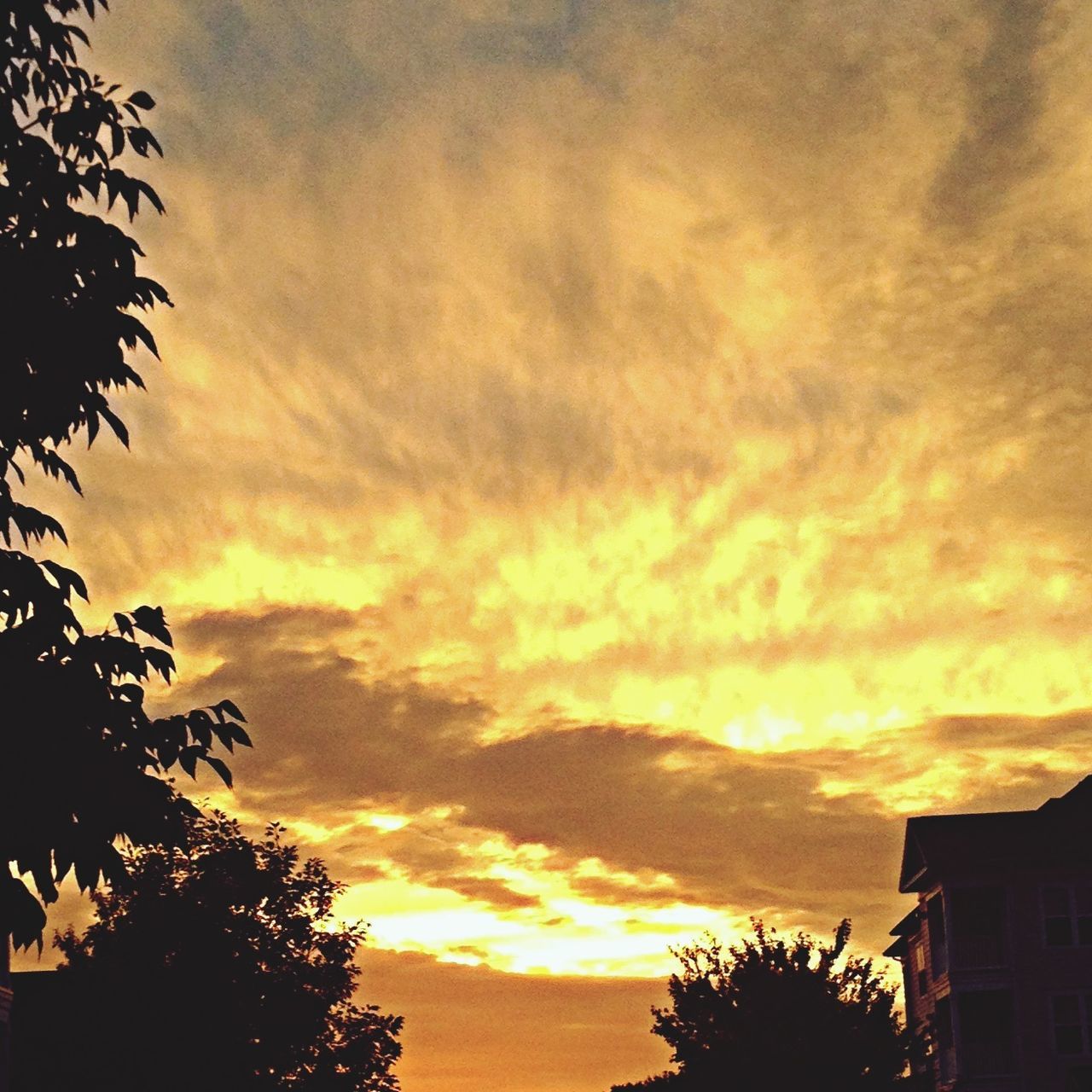 sunset, sky, silhouette, tree, cloud - sky, low angle view, beauty in nature, orange color, scenics, cloudy, dramatic sky, tranquility, nature, cloud, built structure, tranquil scene, building exterior, architecture, overcast, weather