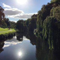 Reflection of trees in lake against sky