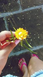 flower