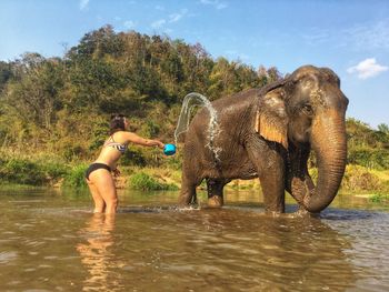 Full length of elephant in river against sky