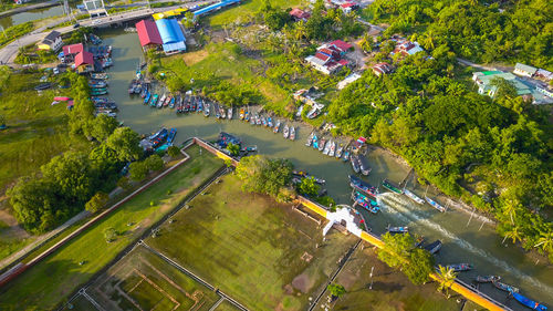 High angle view of vehicles on road by trees in city