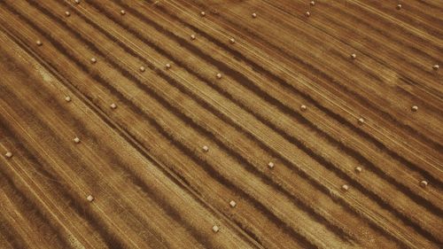 Full frame shot of tiled floor