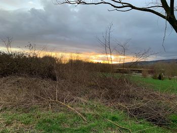 Scenic view of field against sky during sunset