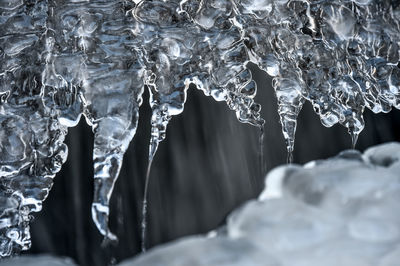 Close-up of frozen ice