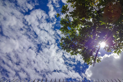 Low angle view of sunlight streaming through clouds
