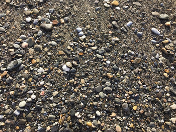 Full frame shot of pebbles on beach