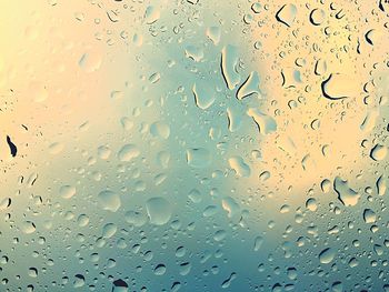 Close-up of water drops on white background