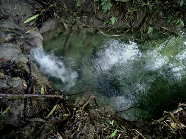 water, reflection, lake, tranquility, nature, high angle view, plant, lakeshore, river, beauty in nature, forest, stream, day, pond, outdoors, tranquil scene, grass, standing water, growth, rock - object