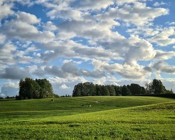 Scenic view of field against sky
