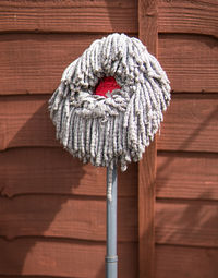 Close-up of mop against wooden wall