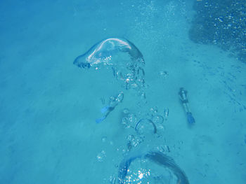 Close-up of bubbles swimming in sea