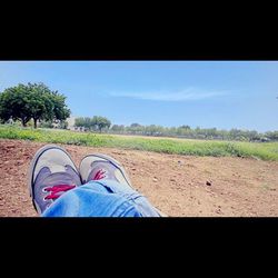 Scenic view of grassy field against sky