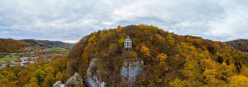 Trees and plants growing on mountain against sky