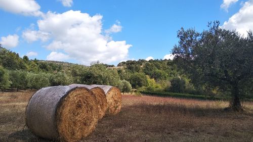 Hay bales on field against sky