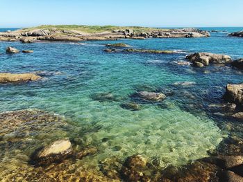 Scenic view of sea shore