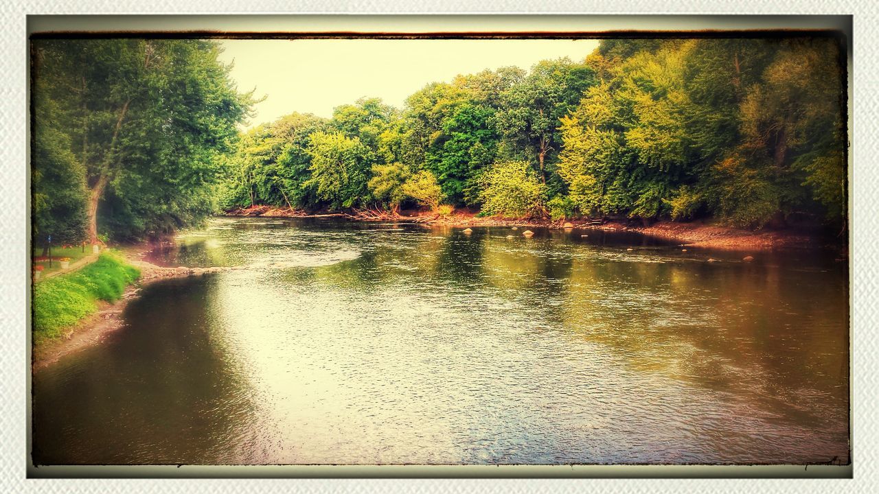 transfer print, water, tree, auto post production filter, reflection, tranquility, tranquil scene, waterfront, lake, nature, beauty in nature, scenics, river, growth, green color, pond, day, outdoors, no people, plant