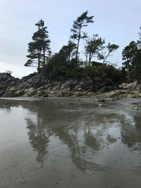 Scenic view of wet beach against sky